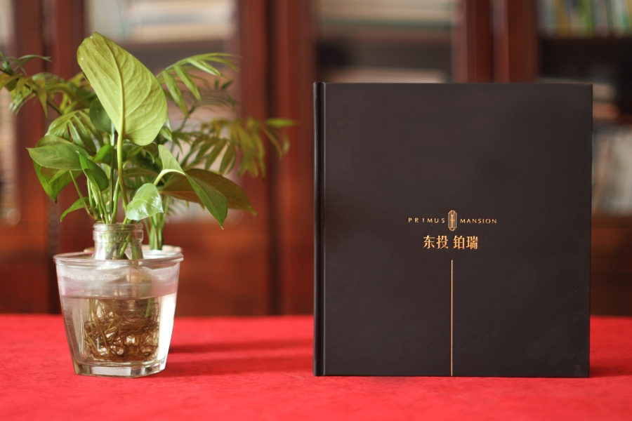 宣傳冊設(shè)計這么做，大氣側(cè)漏！